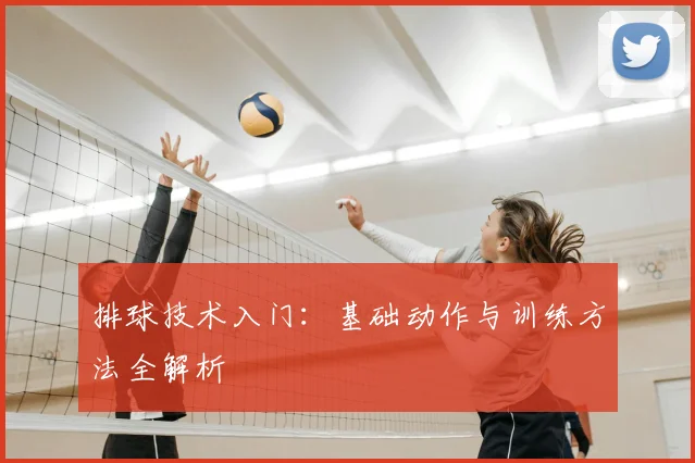 排球技术入门:基础动作与训练方法全解析