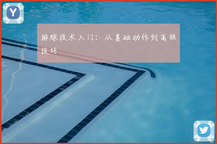 排球技术入门：从基础动作到高级技巧