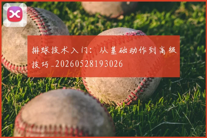 排球技术入门：从基础动作到高级技巧_20260528193026