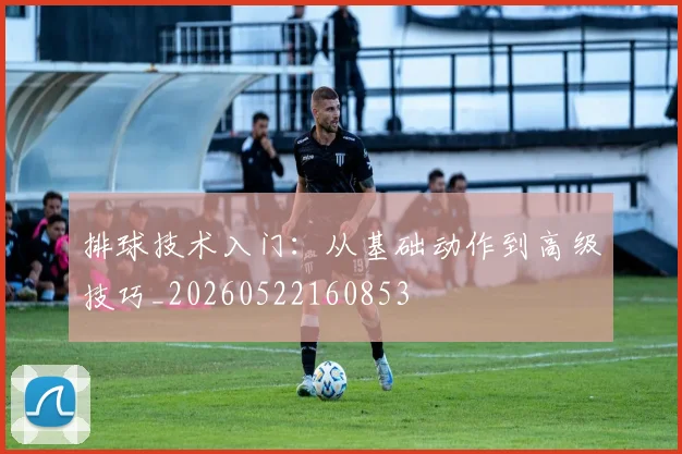 排球技术入门：从基础动作到高级技巧_20260522160853
